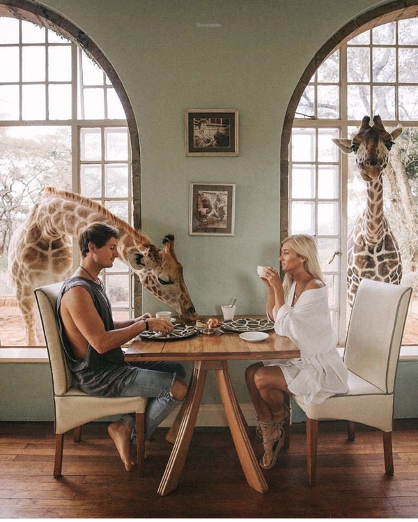 Giraffe Manor長頸鹿莊園飯店